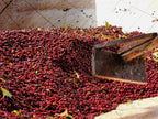 DANCHE White Crow Coffee